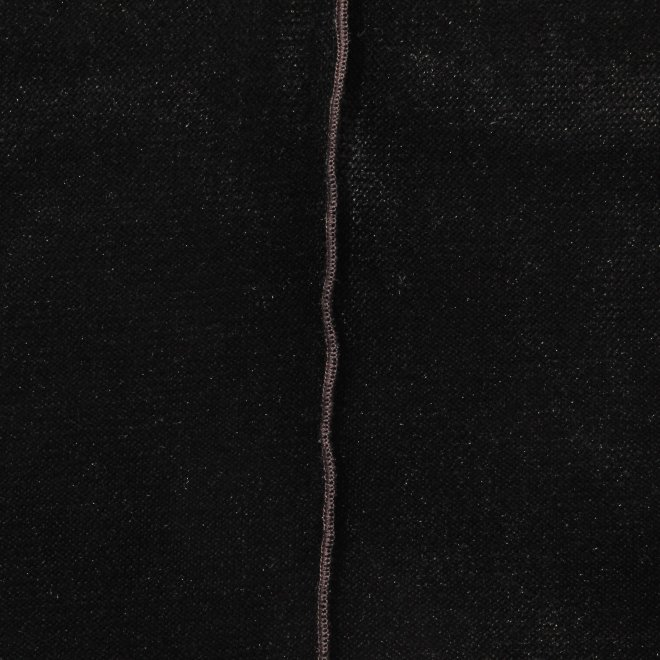 【COMING SOON】WLC メッシュベロアスキントップス 詳細画像 ブラック 3