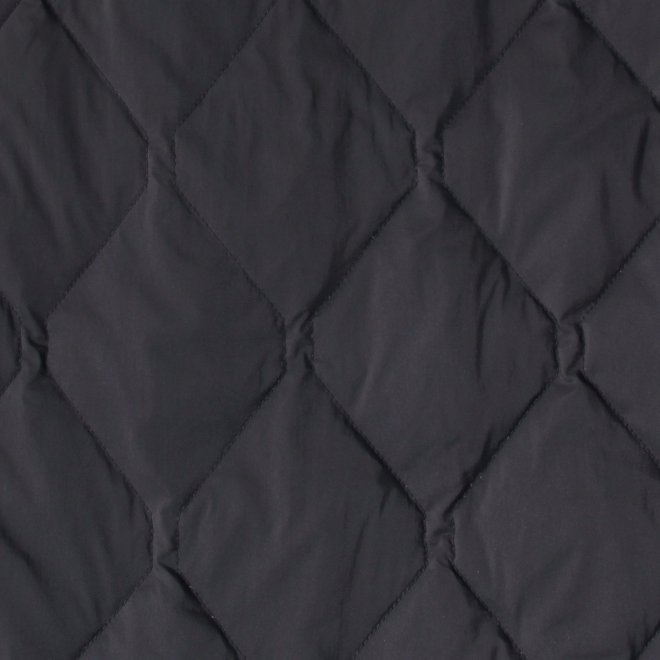 【COMING SOON】WL グロスナイロンカルマネックダウン コート 詳細画像 ネイビー 3