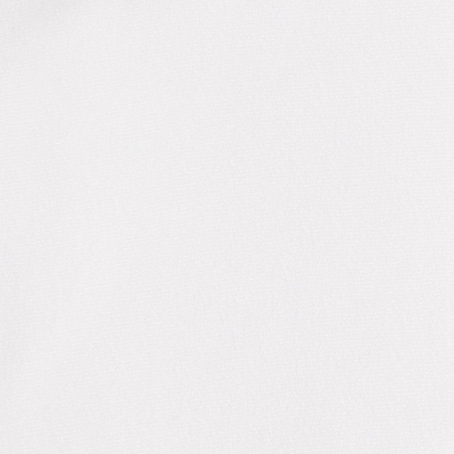 Sheer raschel long sleeve tee ブラウス 詳細画像 ホワイト 3