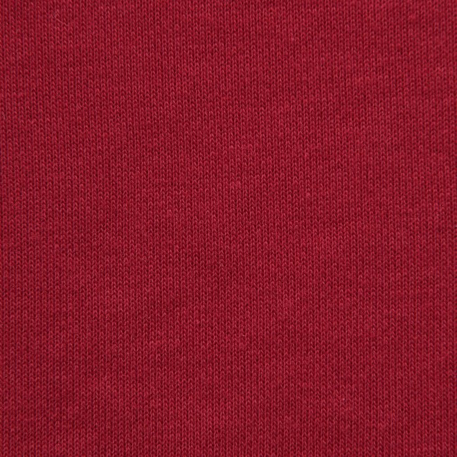 WLC ミニ裏毛ショート Tシャツ 詳細画像 レッド 6