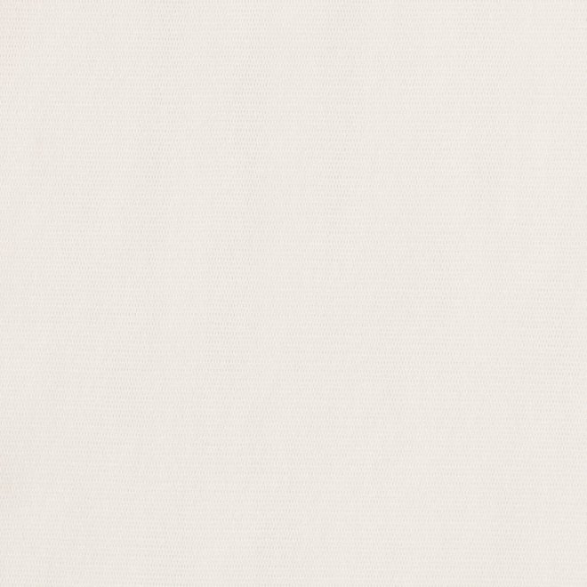 【COMING SOON】Dragon embroidery ブラウス 詳細画像 ホワイト 3