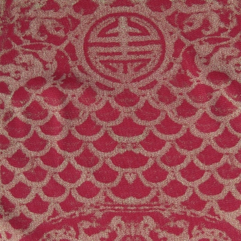 【COMING SOON】Opera shadow print on stretch net ブラウス 詳細画像