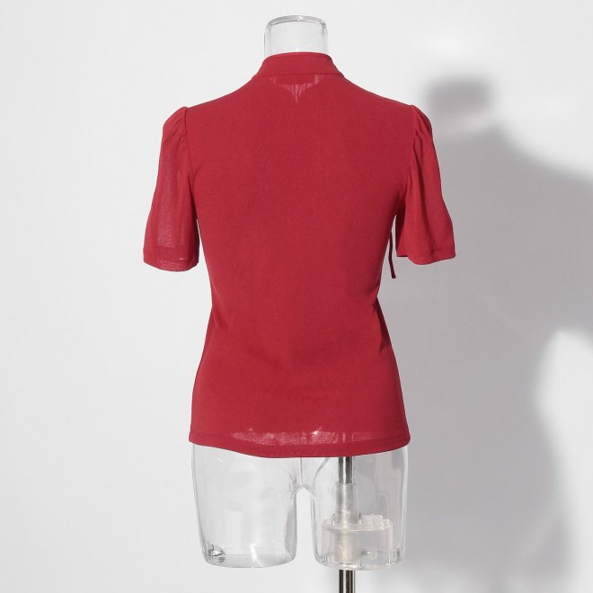 【COMING SOON】Solid netting ブラウス 詳細画像 レッド 3