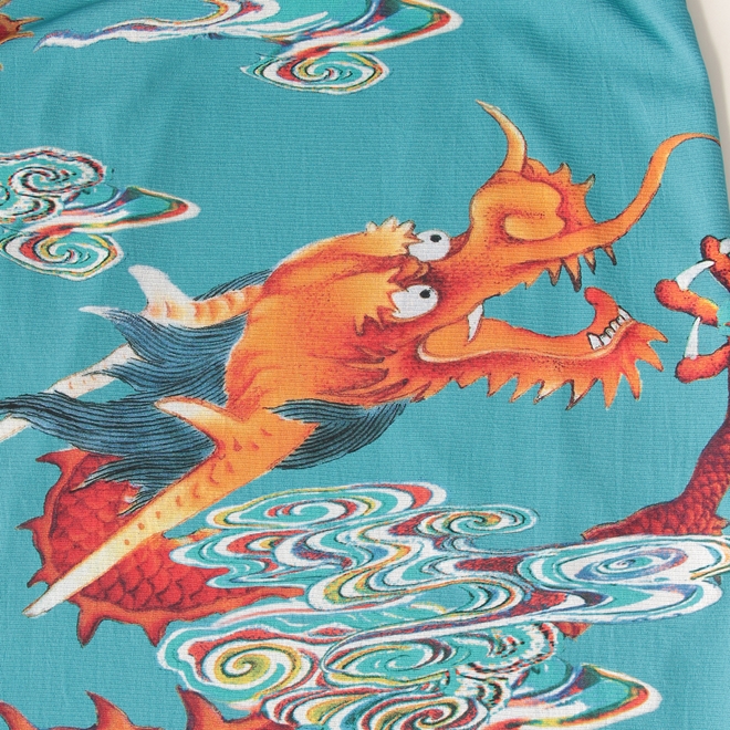 Ceramic dragon print on stretch net スカート 詳細画像 ブルー系マルチ 6