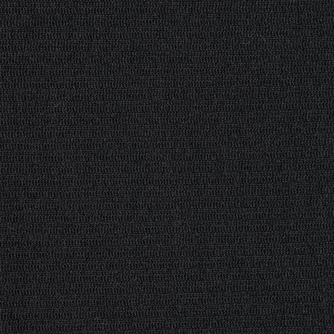 SOLID NET DRESS COAT 詳細画像 ブラック 2