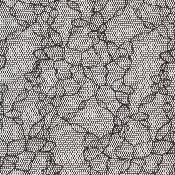 FLOWER TULLE LACE　ブラウス 詳細画像