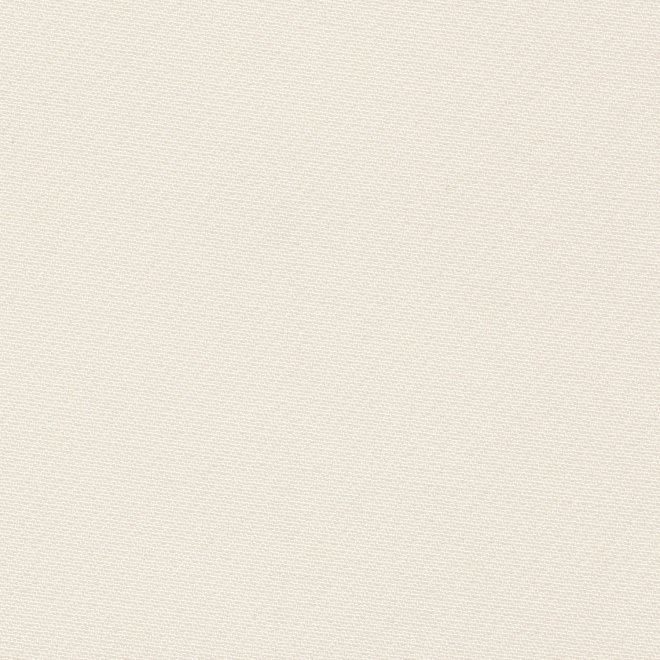 PENSIL DRESS 詳細画像 ホワイト 2