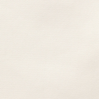EMBOSS DRAGON TEXBRID　ブラウス 詳細画像