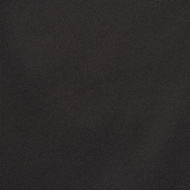 EMBOSS DRAGON TEXBRID　ブラウス 詳細画像 ブラック 6