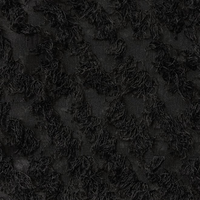 WL 立体ジャカード ZIPシャツブルゾン 詳細画像 ブラック 2