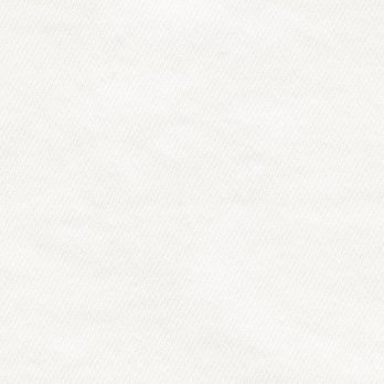 Dragon print denim スカート 詳細画像