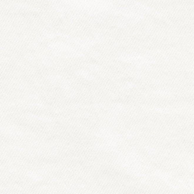 Dragon print denim スカート 詳細画像 ホワイト 3