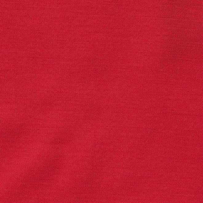 【COMING SOON】WLC シルケットスムースカット ドレス 詳細画像 レッド 6