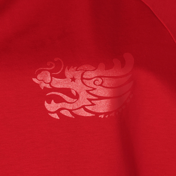 WLC ドラゴンプリント Tシャツ 詳細画像