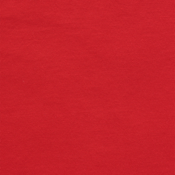 WLC ドラゴンプリント Tシャツ 詳細画像