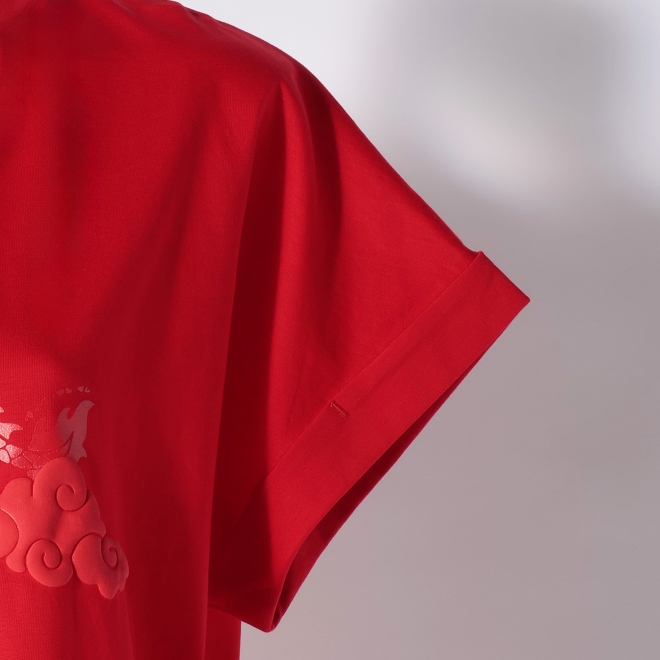 WLC ドラゴンプリント Tシャツ 詳細画像 レッド 5