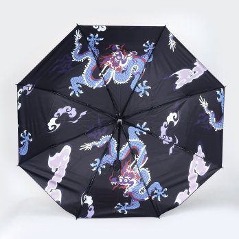 Dragon Umbrella 詳細画像