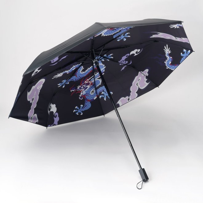 Dragon Umbrella 詳細画像 黒系マルチ 1