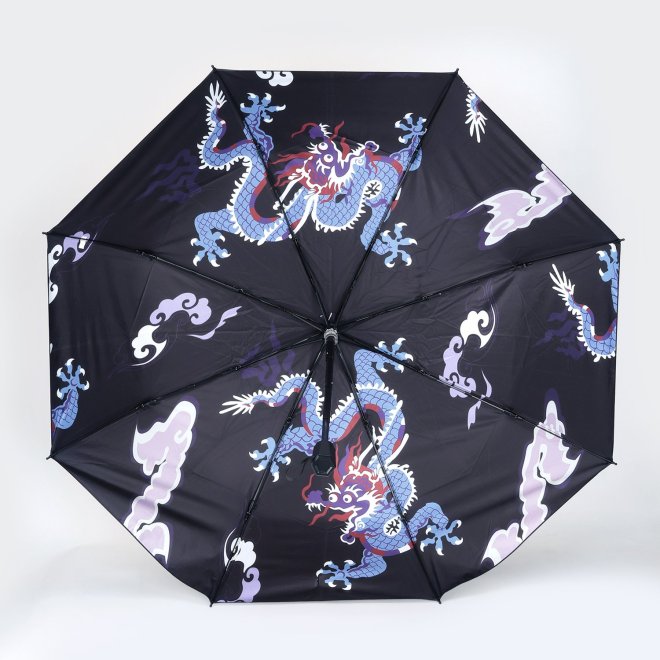 Dragon Umbrella 詳細画像 黒系マルチ 2