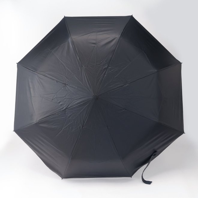 Dragon Umbrella 詳細画像 黒系マルチ 3