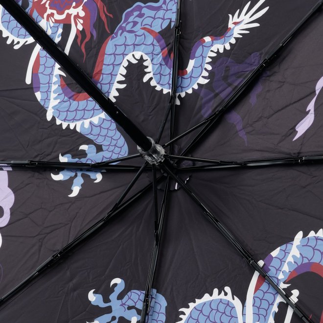 Dragon Umbrella 詳細画像 黒系マルチ 5