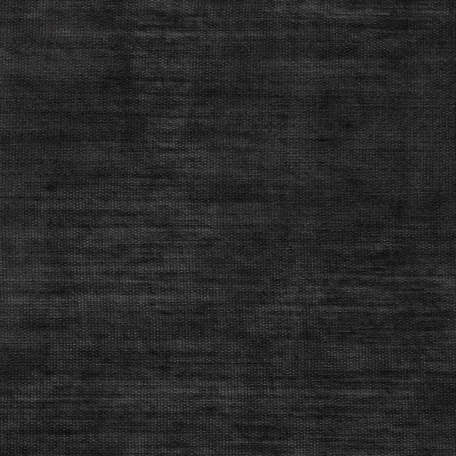 WLC オーガンジーフード ブルゾン 詳細画像 ブラック 3
