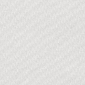 WLC ワンポイント刺繍Tシャツ 詳細画像
