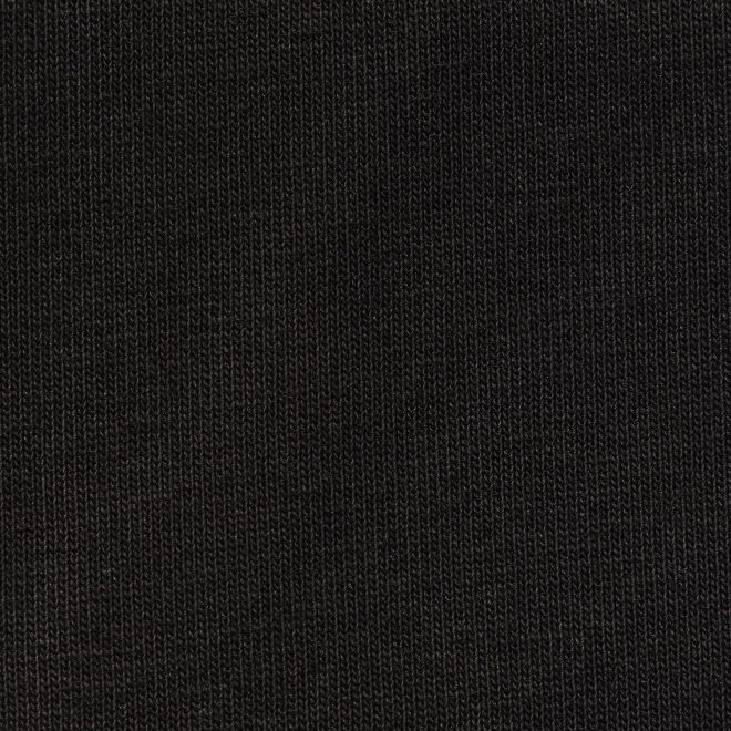 WLC ワンポイント刺繍Tシャツ 詳細画像 ブラック 7