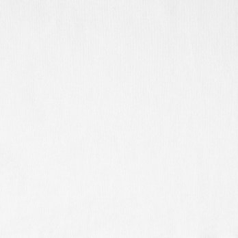 WL フレンチTシャツ 詳細画像