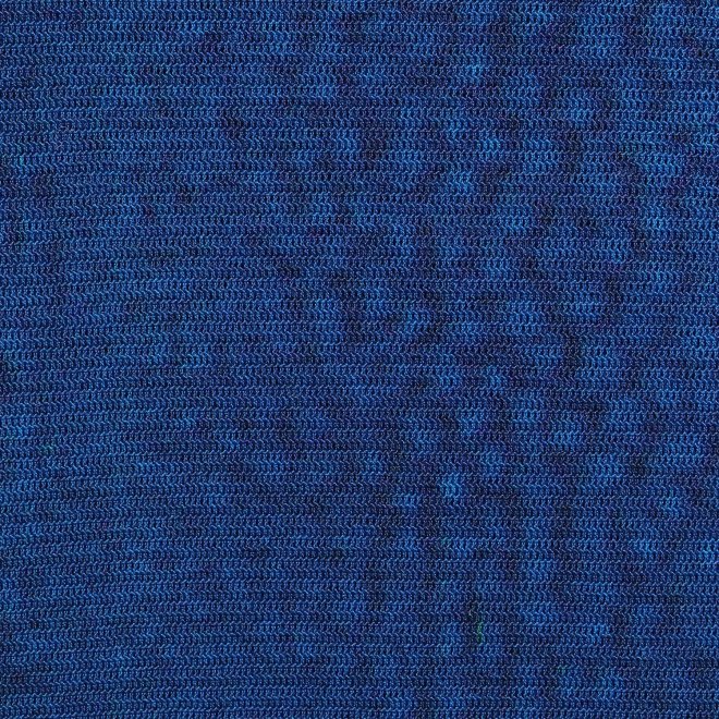 【COMING SOON】Gold fish printed on stretch net ブラウス 詳細画像 ブルー系マルチ 6