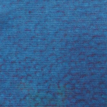 【COMING SOON】Gold fish printed on stretch net ブラウス 詳細画像