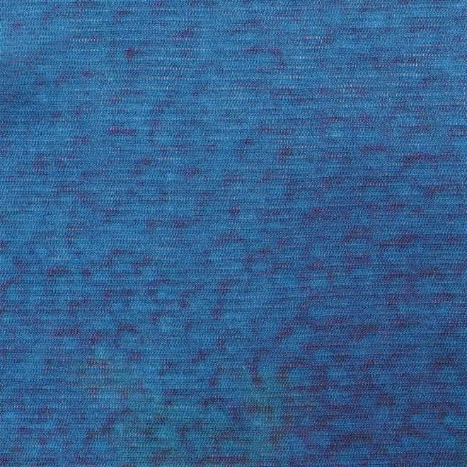【COMING SOON】Gold fish printed on stretch net ブラウス 詳細画像 ブルー系マルチ 6