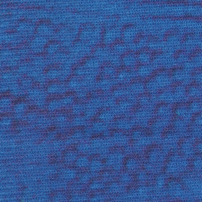 【COMING SOON】Gold fish printed on stretch net スカート 詳細画像 ブルー系マルチ 10