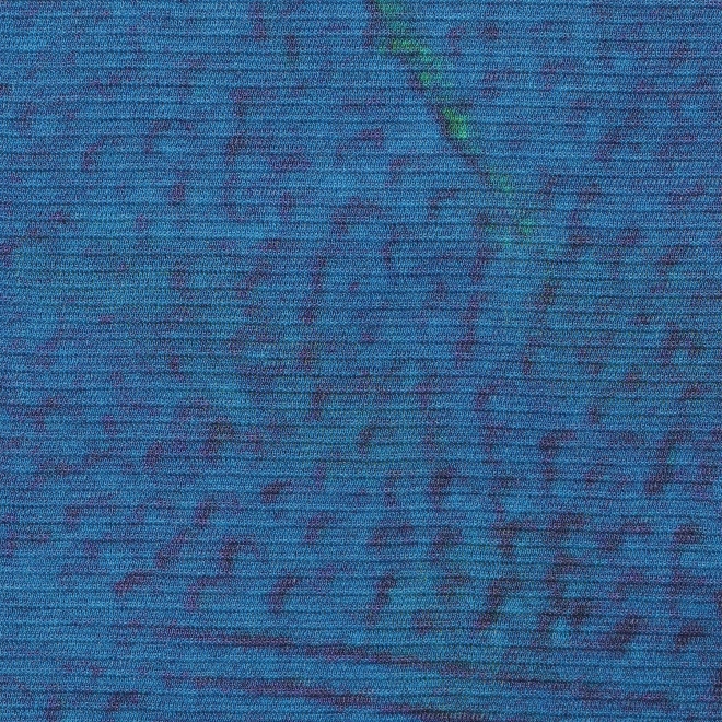 Gold fish printed on stretch net ドレス 詳細画像 ブルー系マルチ 10