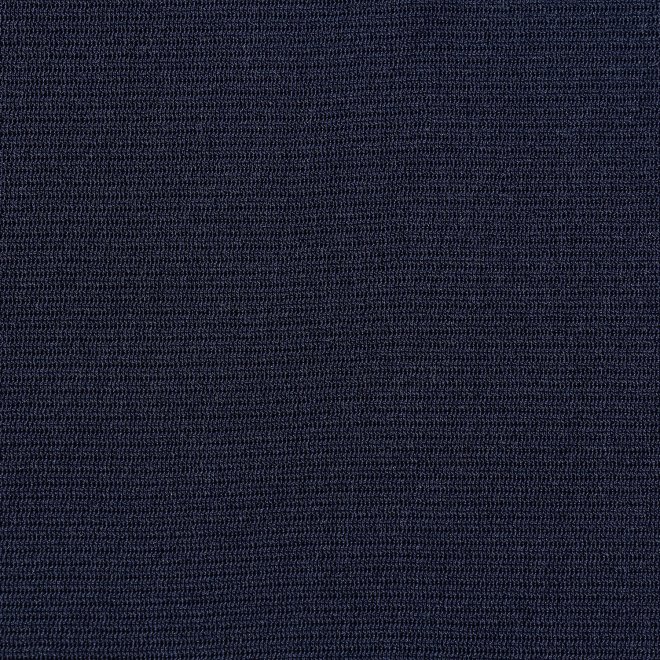 Dragon embroidery motif on stretch net ブラウス 詳細画像 ネイビー 6