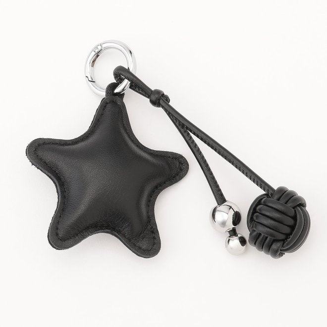 Leather phone bag + Key chain 詳細画像 ブラック 6