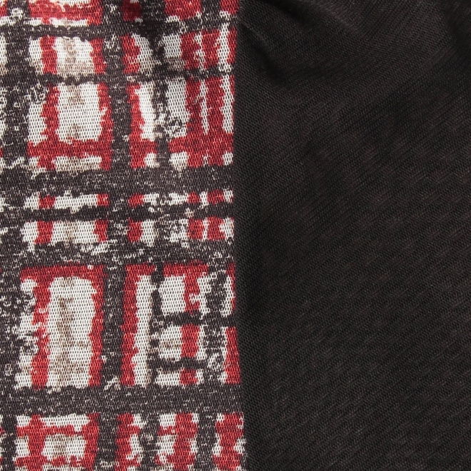 Plaid dragon print netting ドレス 詳細画像 黒系マルチ 10
