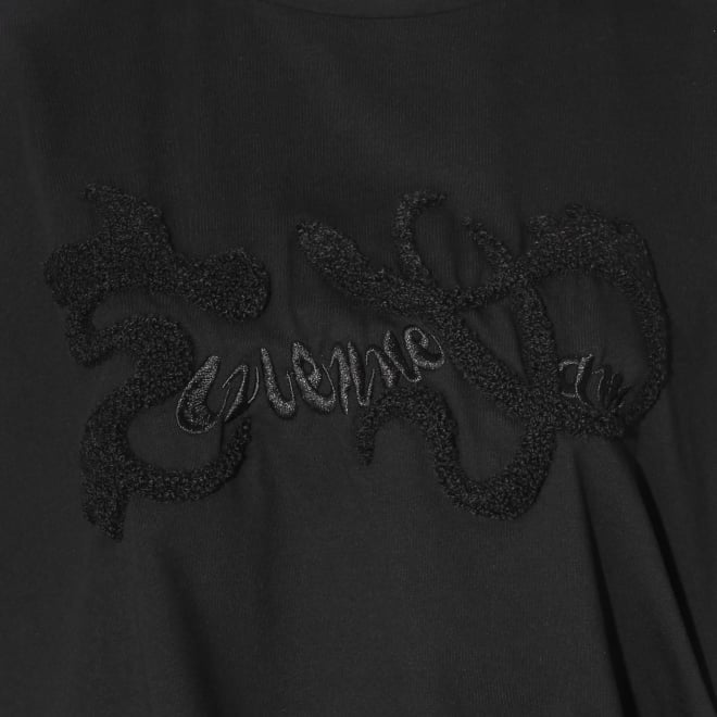 【COMING SOON】New dragon logo embroidery Tシャツ 詳細画像 ブラック 2