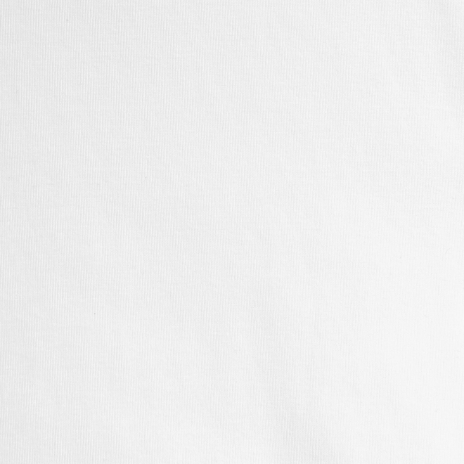 WLC フライス刺繍Tシャツ 詳細画像 ホワイト 7