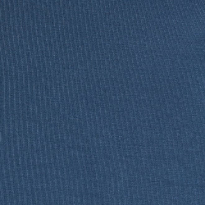 WLC フライス刺繍Tシャツ 詳細画像 ライトブルー 6