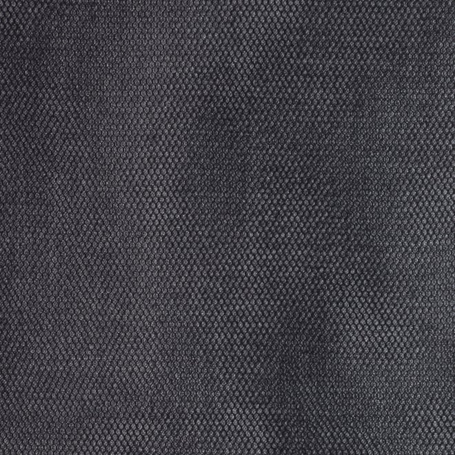 WLC チュールドッキングフロントZIP パンツ 詳細画像 グレー 2