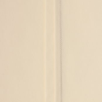 【COMING SOON】WLC ジャージーピンタックドロップ プルオーバー 詳細画像