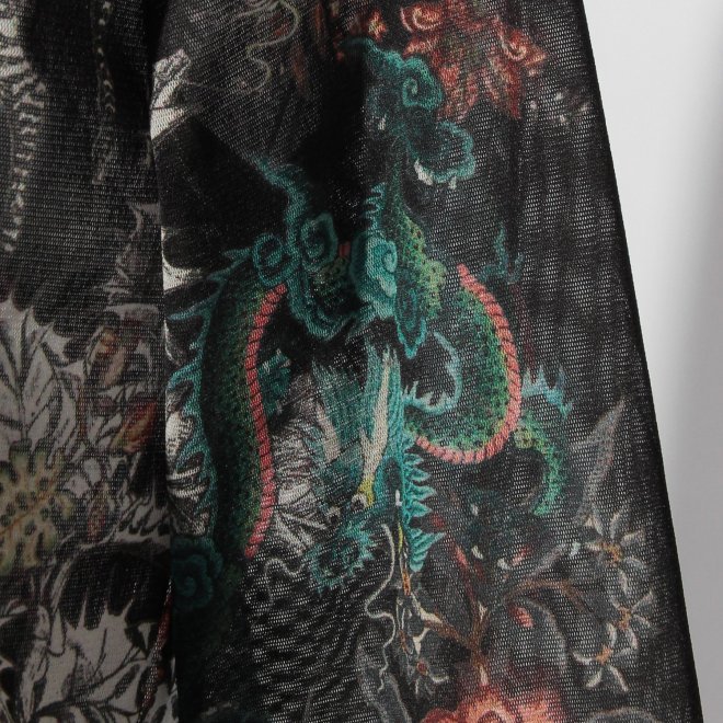 Zodiac print net ブラウス 詳細画像 黒系マルチ 2