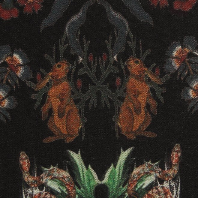 Zodiac print net ブラウス 詳細画像 黒系マルチ 4