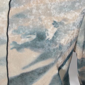 Sheer velor ブラウス 詳細画像