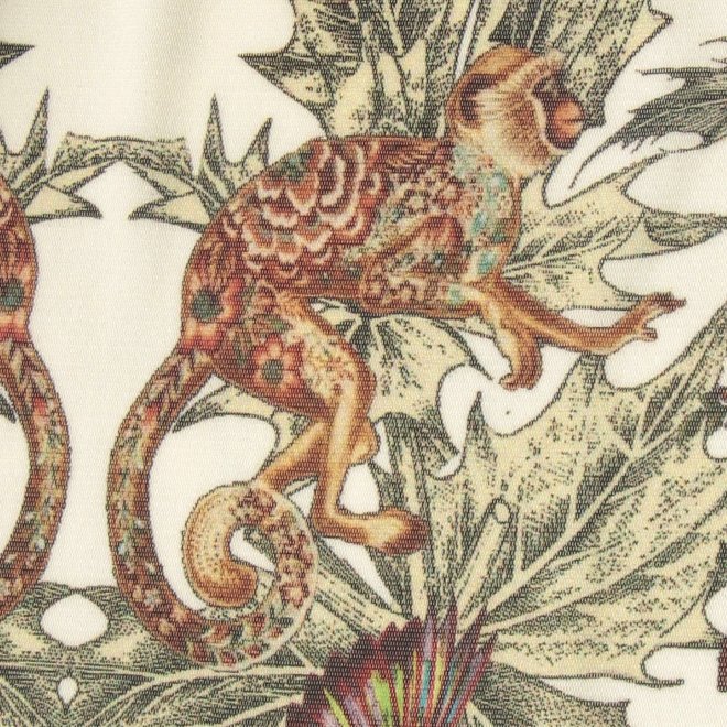 Zodiac print net パンツ 詳細画像 白系マルチ 7