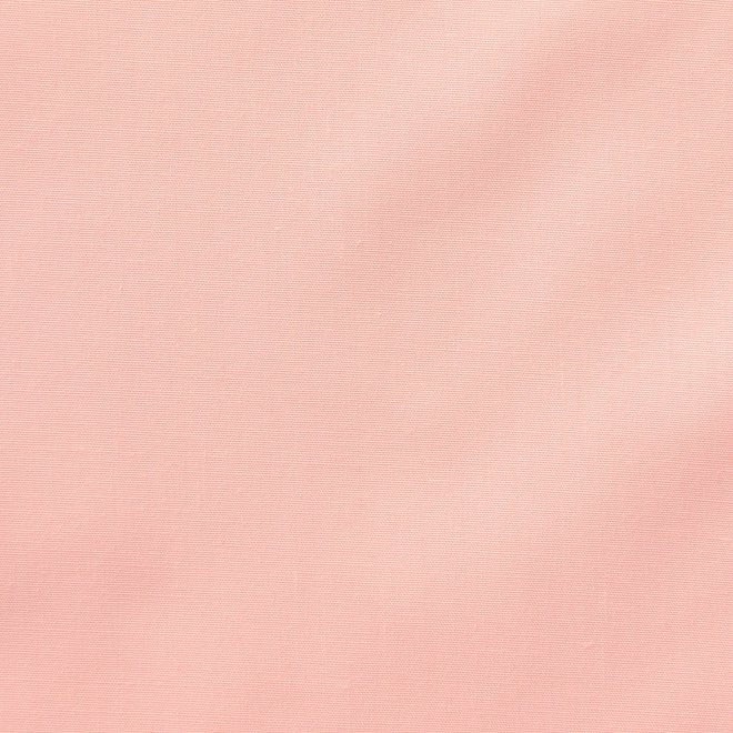 【COMING SOON】Shirt with mini embroidery ブラウス 詳細画像 ライトピンク 6