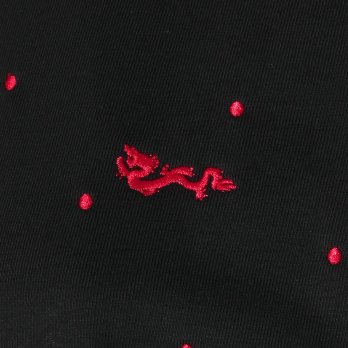 【COMING SOON】Mini dragon embroidery プルオーバー 詳細画像