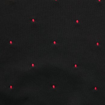 【COMING SOON】Mini dragon embroidery プルオーバー 詳細画像