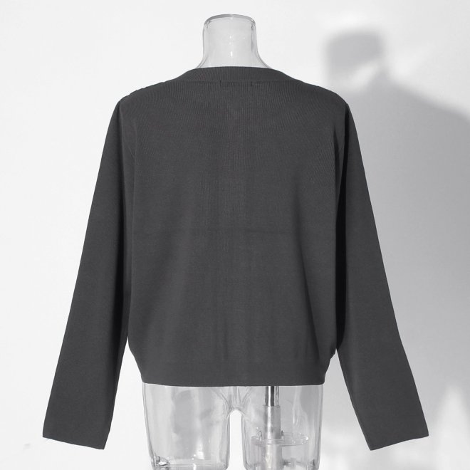 【COMING SOON】WLC オーガンジードラゴン刺繍ミラノリブ ブルゾン 詳細画像 グレー 3